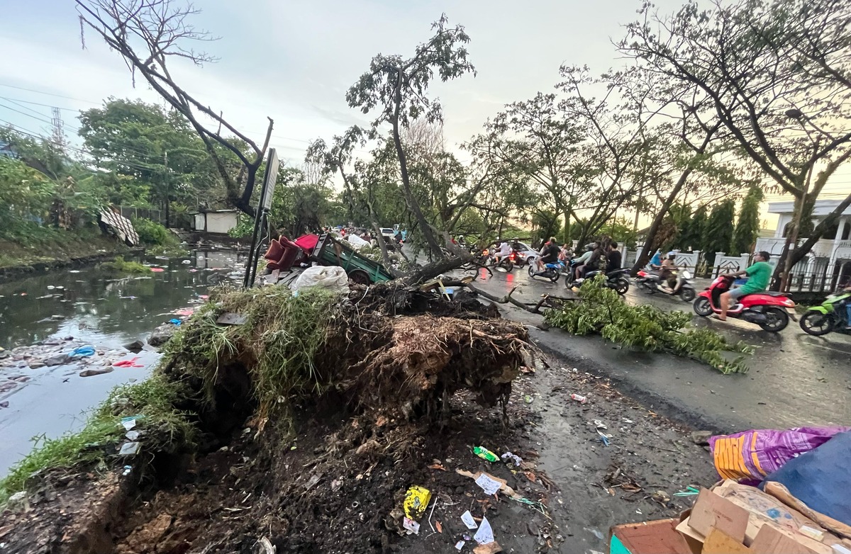 Pohon Tumbang Atap Beterbangan Hujan Deras Dan Angin Kencang Terjang